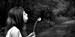 Beitragsbild des Blogbeitrags Worte der Weisheit#544
