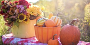 Beitragsbild des Blogbeitrags Worte der Weisheit#555