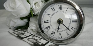 Beitragsbild des Blogbeitrags Worte der Weisheit#560