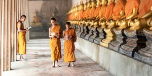 Beitragsbild des Blogbeitrags Worte der Weisheit#562