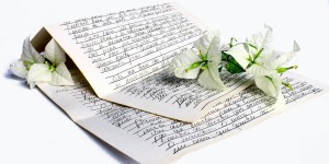 Beitragsbild des Blogbeitrags Worte der Weisheit#567