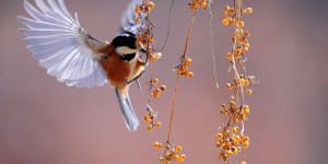 Beitragsbild des Blogbeitrags Worte der Weisheit#581