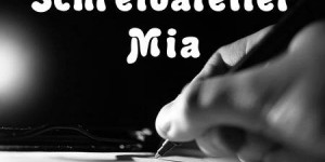 Beitragsbild des Blogbeitrags Die Kunst des Schreibens – Ein Beitrag für angehende Autoren/Blogger und Interessierte! (*Werbung)