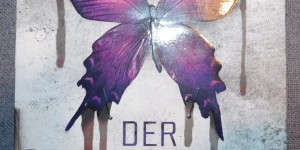 Beitragsbild des Blogbeitrags Buchrezension#47 – Der Schmetterlingsjunge