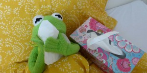 Beitragsbild des Blogbeitrags Faktencheck#24