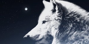 Beitragsbild des Blogbeitrags Die Montagslyriker heute mit unserer Nr. 7: Wolfgang Weiland! 