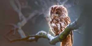 Beitragsbild des Blogbeitrags Worte der Weisheit#606 