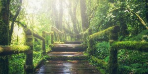 Beitragsbild des Blogbeitrags Worte der Weisheit#609 