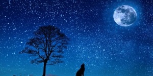 Beitragsbild des Blogbeitrags Ein kleiner Nachtbeitrag!