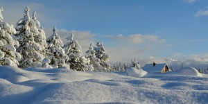 Beitragsbild des Blogbeitrags Mitteleuropa in der festen Hand des Schnee’s! ⛄ 