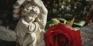 Beitragsbild des Blogbeitrags Worte der Weisheit#617