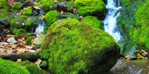 Beitragsbild des Blogbeitrags Worte der Weisheit#618 