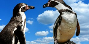 Beitragsbild des Blogbeitrags Faktencheck#43