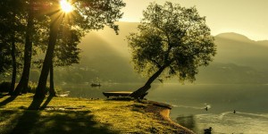 Beitragsbild des Blogbeitrags Worte der Weisheit#630