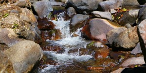 Beitragsbild des Blogbeitrags Worte der Weisheit#633 