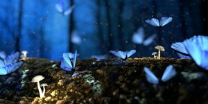 Beitragsbild des Blogbeitrags Worte der Weisheit#648
