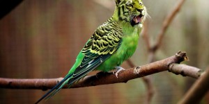 Beitragsbild des Blogbeitrags Worte der Weisheit#656