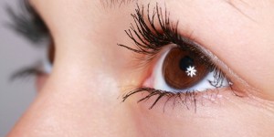 Beitragsbild des Blogbeitrags Faktencheck#57