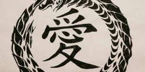 Beitragsbild des Blogbeitrags Der Drache in uns