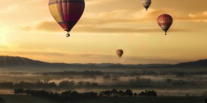 Beitragsbild des Blogbeitrags Worte der Weisheit#672