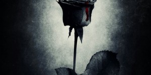 Beitragsbild des Blogbeitrags Die schwarze Rose