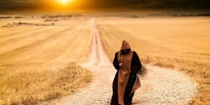 Beitragsbild des Blogbeitrags Worte der Weisheit#685