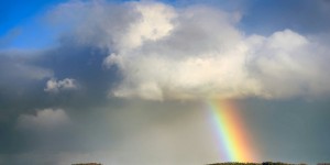 Beitragsbild des Blogbeitrags Worte der Weisheit#683