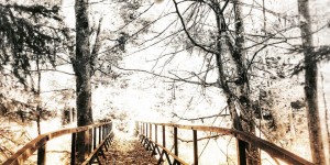 Beitragsbild des Blogbeitrags Montagslyriker Nr. 6 – Phoebe