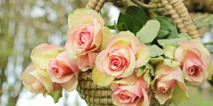 Beitragsbild des Blogbeitrags Zum Muttertag ein Dankeschön!