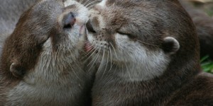 Beitragsbild des Blogbeitrags Faktencheck#74