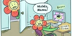 Beitragsbild des Blogbeitrags Von Blumen und Bienen….