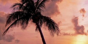 Beitragsbild des Blogbeitrags Ein entspanntes Pfingstwochenende!