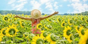 Beitragsbild des Blogbeitrags Worte der Weisheit#724