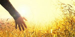 Beitragsbild des Blogbeitrags Worte der Weisheit#727