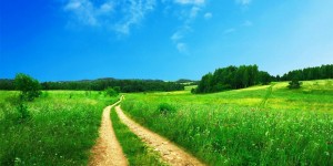 Beitragsbild des Blogbeitrags Worte der Weisheit#733