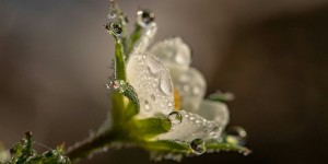 Beitragsbild des Blogbeitrags Worte der Weisheit#745