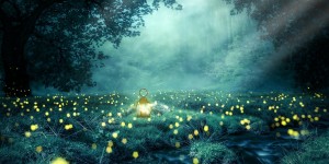 Beitragsbild des Blogbeitrags Worte der Weisheit#749