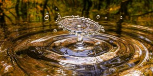 Beitragsbild des Blogbeitrags Worte der Weisheit#753
