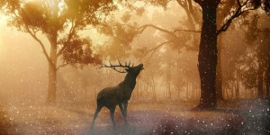 Beitragsbild des Blogbeitrags Worte der Weisheit#772