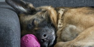 Beitragsbild des Blogbeitrags Worte der Weisheit#775