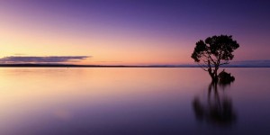 Beitragsbild des Blogbeitrags Worte der Weisheit#778