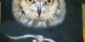 Beitragsbild des Blogbeitrags Ein Ausflug in den Tierpark
