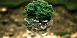 Beitragsbild des Blogbeitrags Worte der Weisheit#784