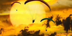 Beitragsbild des Blogbeitrags Worte der Weisheit#793