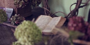 Beitragsbild des Blogbeitrags Worte der Weisheit#795