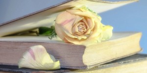 Beitragsbild des Blogbeitrags Worte der Weisheit#805