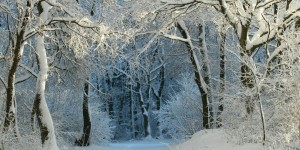 Beitragsbild des Blogbeitrags Worte der Weisheit#720