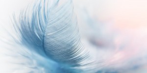 Beitragsbild des Blogbeitrags Weihnachtsspecial#10