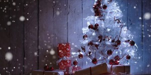 Beitragsbild des Blogbeitrags Weihnachtsspecial#14 2019