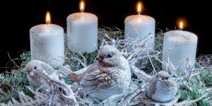 Beitragsbild des Blogbeitrags Weihnachtsspecial#22 2019 